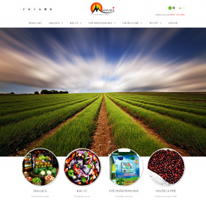 Nâng cấp website bán hàng MANUKA